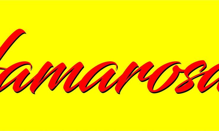 Volkswagen Passat Variant 1.5 TSi ACT Business (2022. 07)